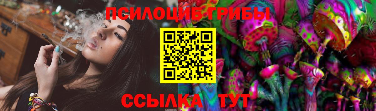 Псилоцибиновые грибы MAGIC MUSHROOMS  Вход с VPN  Псилоцибиновые грибы MAGIC MUSHROOMS  Заволжье 